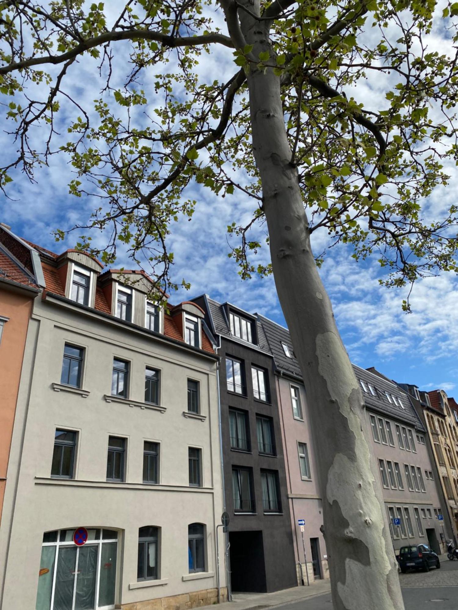 Eiwelhome - Stilvoll, Urban-Ruhig Schlafen, Bahnhofsnah, Balkon Erfurt Exterior photo